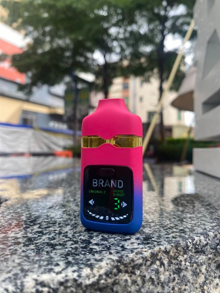 Dual Chamber 3 in 1 LCD Screen Puffs Counts Postless Blinkers Device