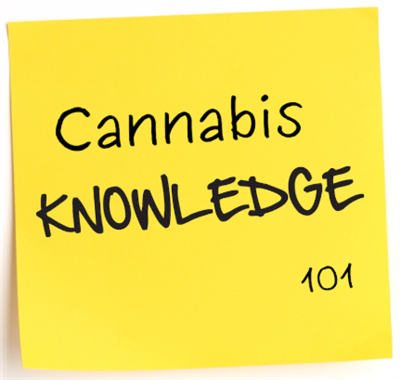 Cannabis Knowledge 101